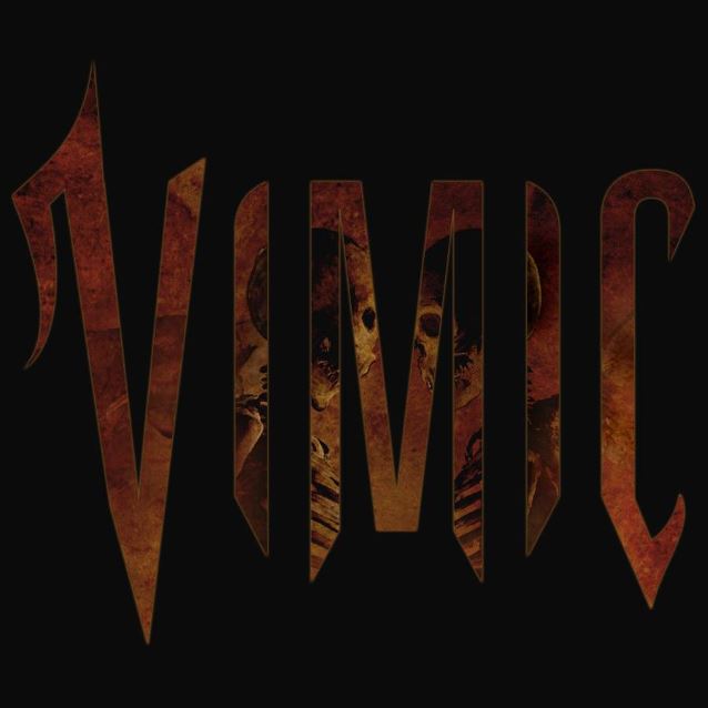 vimiclogo2016_2_638